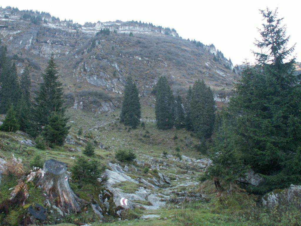 Stäfeli 1432 m.ü.M. Bergweg perfekt gekennzeichnet