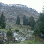 Stäfeli 1432 m.ü.M. Bergweg perfekt gekennzeichnet