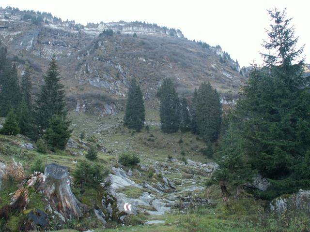 Stäfeli 1432 m.ü.M. Bergweg perfekt gekennzeichnet