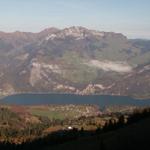 der Walensee