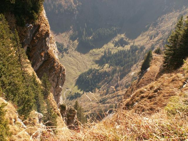 Blick runter ins Hintertal