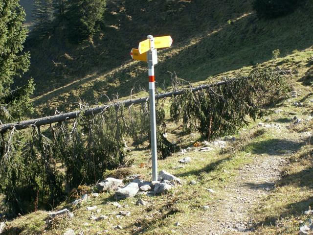 Wegweiser bei Mättli 1629 m.ü.M.