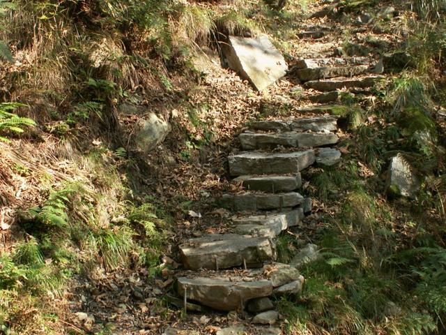 über gut angelegte Treppen führt der Weg aufwärts