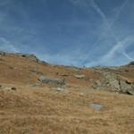 Blick zurück zum Passo di Gagnone