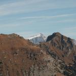 das Rheinwaldhorn-Adula schaut hervor