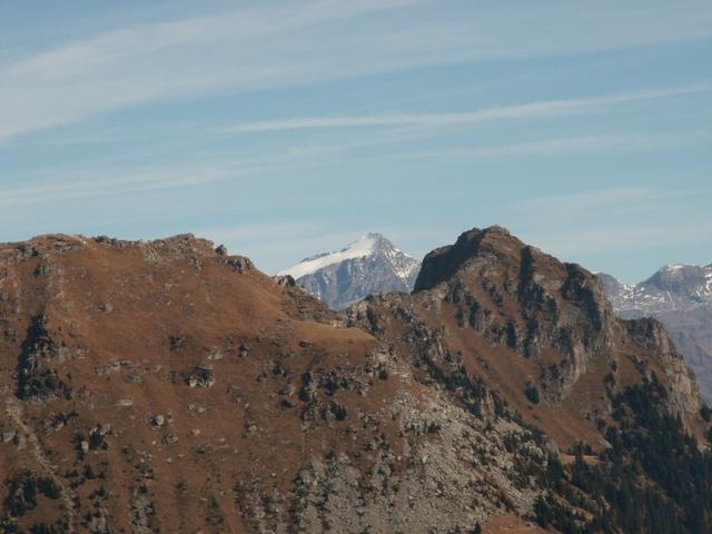 das Rheinwaldhorn-Adula schaut hervor