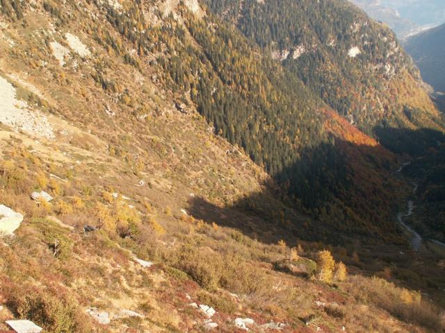 unser Weg führt nun ins Tal runter