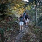 das Trio läuft durch den schönen Wald