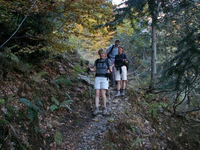 das Trio läuft durch den schönen Wald