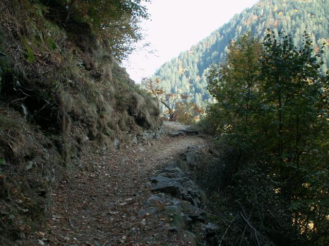 schöner Wanderweg