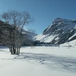 Schneeschuhtour Urnerboden 25.1.2009