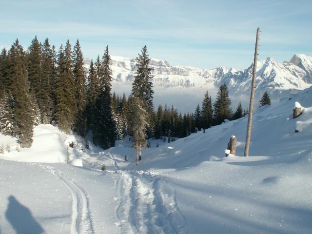 Blick zurück