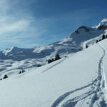 einfach schön diese Gegend