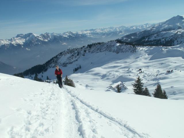 Mäusi beim Schluderichopf 1906 m.ü.M.