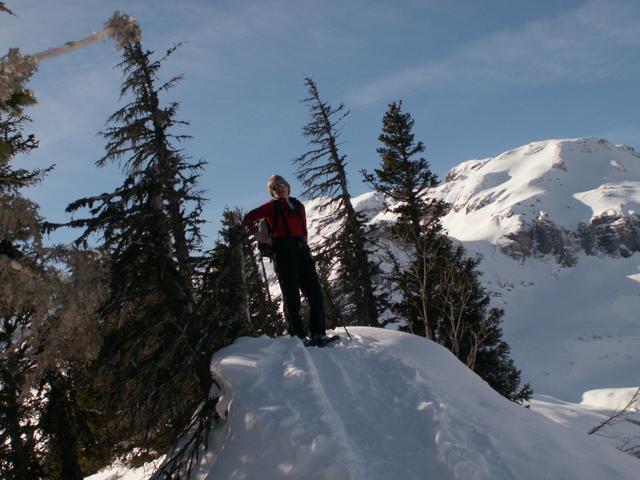 Mäusi auf dem Gipfel des Plattisegg 1877 m.ü.M.