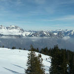 Breitbildfoto vom Plattisegg mit Blick Richtung Alvierkette