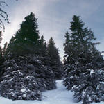 Pulverschnee bis zu den Knien