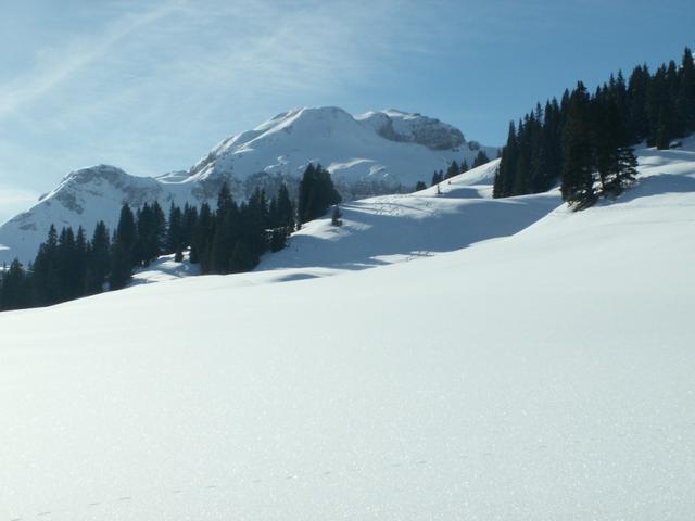 Blick Richtung Hochfinsler