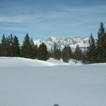 Aussicht bei Bärenruns 1483 m.ü.M.