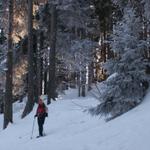 kurz vor dem Berghotel Schönhalden