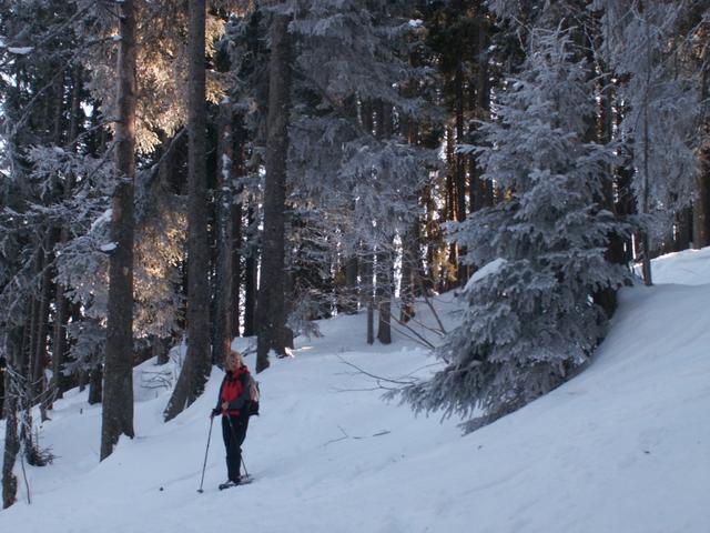 kurz vor dem Berghotel Schönhalden