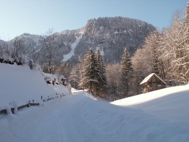 auf der Pragelpassstrasse