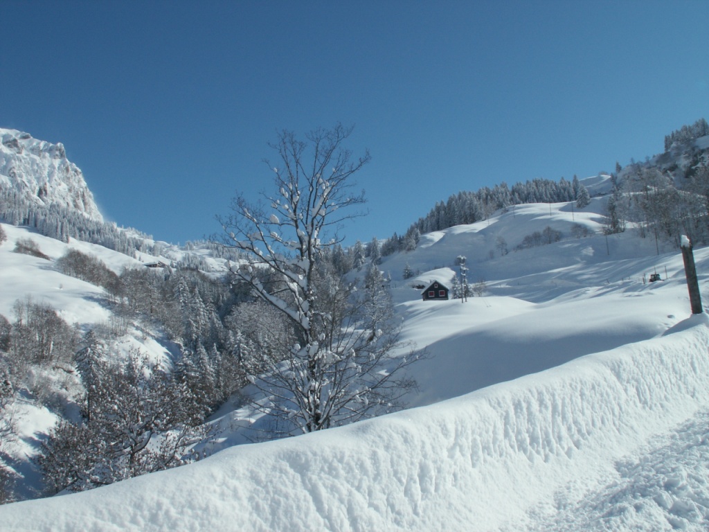 bei Chrüz 1040 m.ü.M. mit Blick Richtung Pragelpass