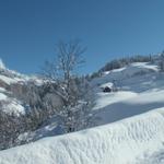 bei Chrüz 1040 m.ü.M. mit Blick Richtung Pragelpass