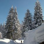 meterhohe Schneemauern