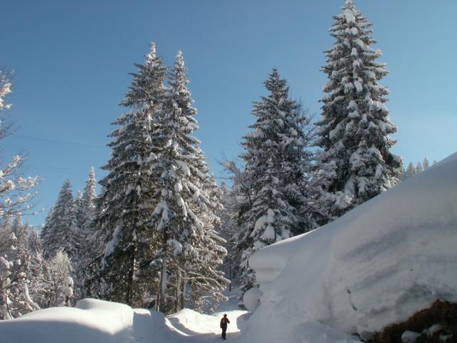 meterhohe Schneemauern