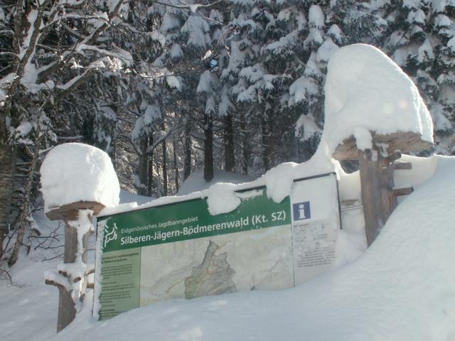 hier beginnt der Bödmerenwald