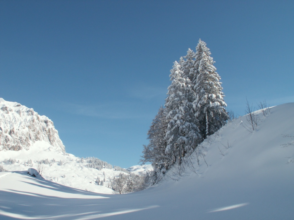 Blick Richtung Pragelpass