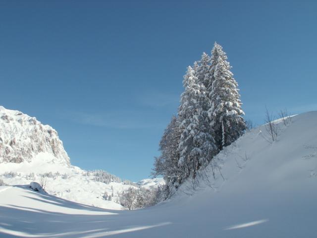 Blick Richtung Pragelpass