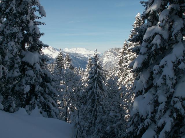 zuhinterst Stoos und Fronalpstock