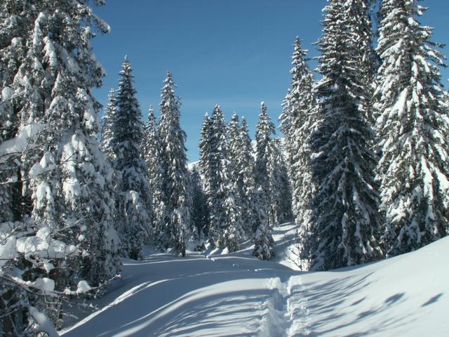 Blick zurück