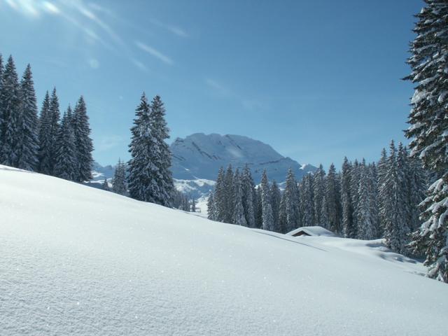 Blick Richtung Wasserberg