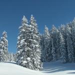 perfektes Schneeschuhtouren Gebiet