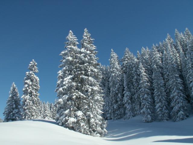 perfektes Schneeschuhtouren Gebiet