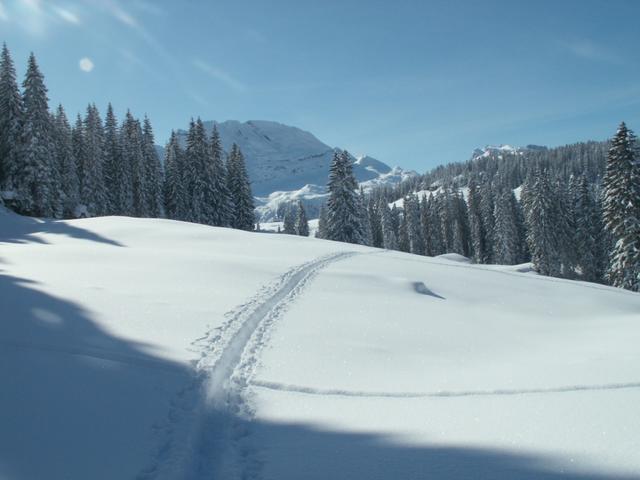 unsere Spuren im Schnee bei Mittst Weid