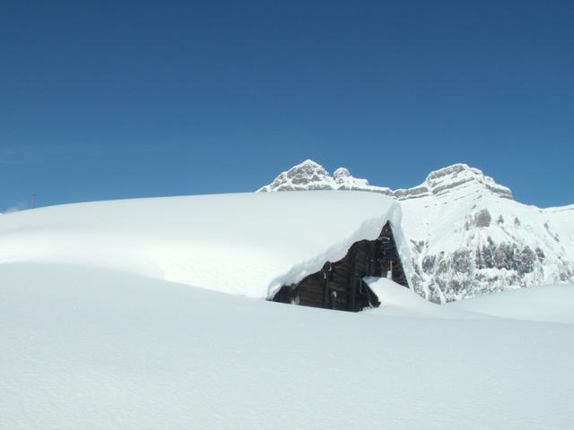 bei Oberist Weid 1365 m.ü.M.