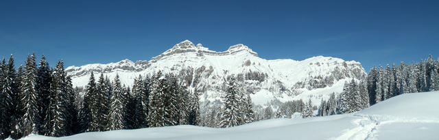 Breitbildfoto Forstberg, Druesberg und Mieserenstock