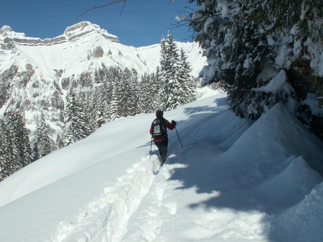 es geht Richtung Fläschenwald