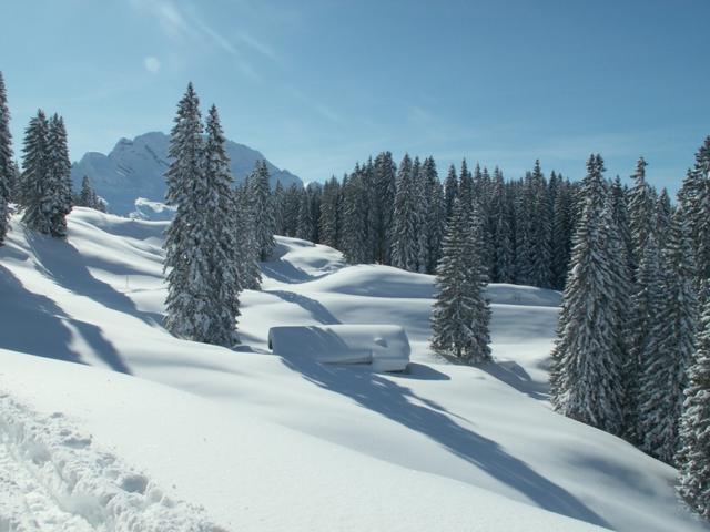 Blick zurück