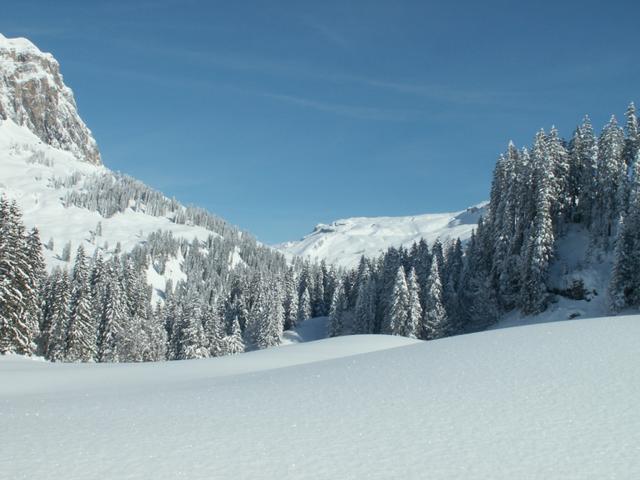 Blick Richtung Pragelpass