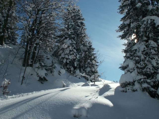 Blick zurück