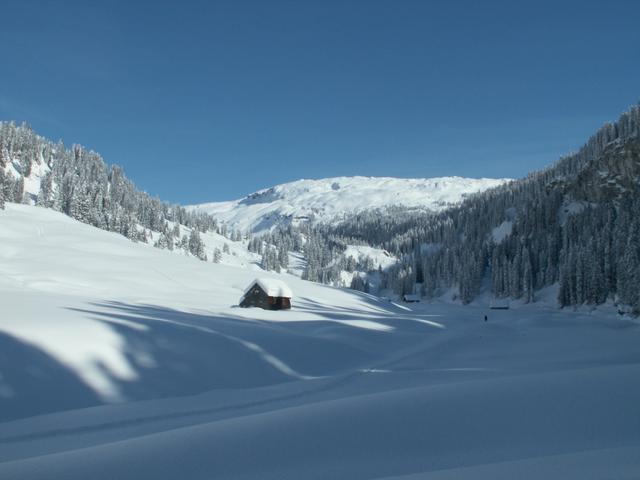 Blick auf Guetentalboden