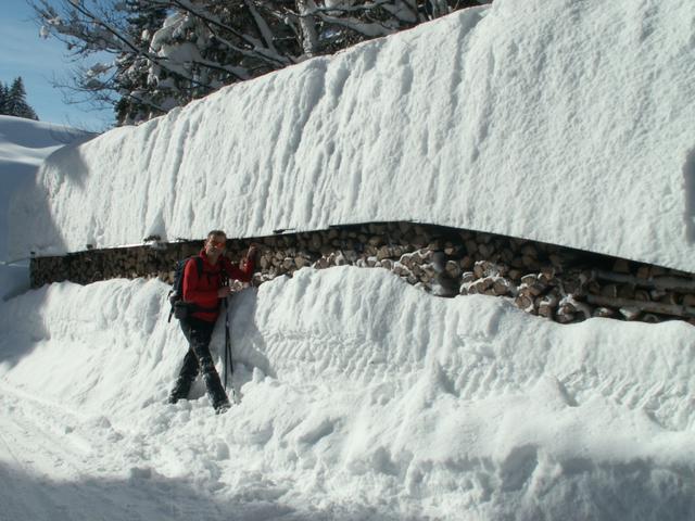 es hat genug Schnee !