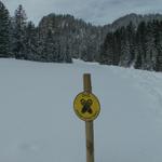 ausgesteckter Schneeschuhtrail