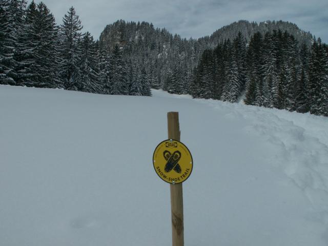 ausgesteckter Schneeschuhtrail