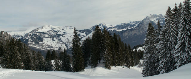 Blick Richtung Habergschwänd